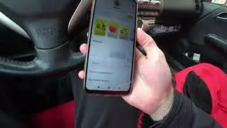 4 Дня в яндекс еде часть 2