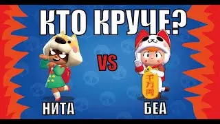 Сиба ину Нита против Неко Беа! Кто победит? Сравнение бравлеров на русском!