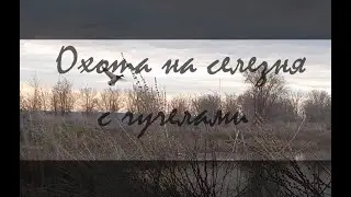 Открытие весенней охоты на селезня с чучелами