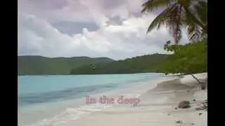 Bird York -  In TheDeep with onscreen lyrics