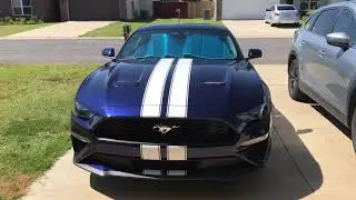Update on the mustang.