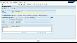 Provide full authorization on a authorization object in SAP