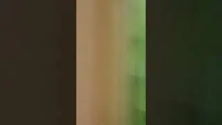" Обниму, если угостишь семечками"