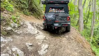 Spring In The Smoky Mountains