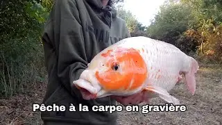 Pêche à la carpe **96H EN GRAVIÈRE **