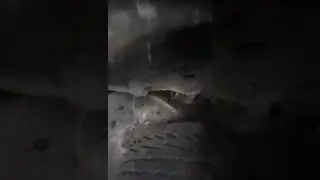 Прикол с гнилой машиной