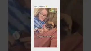UNUSUAL RANDOM MEMES COMPILATION V58  #memes #shorts