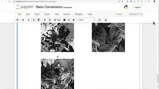 Pytorch Bootcamp   40 Basic Image Conversions