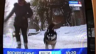 Банан в новостях.MTS