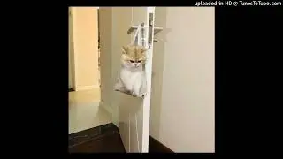 Молодой Платон - AP ♡ speed up ♡
