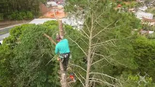 Drone : você teria coragem !!!
