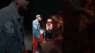 Fuerza Regida- Harley Quinn