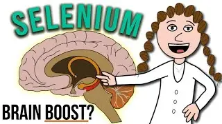 Brain boost with selenium?