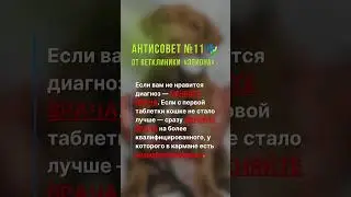 Антисовет 11 от ветклиники "Эпиона". Как НЕ надо лечить животных