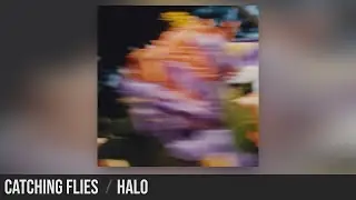 Catching Flies | Halo - UKs Finest Chillwave, Downtempo & Trip Hop