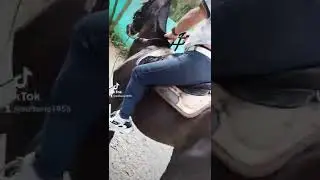 Sexy horse riding