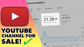 Busy YouTube.com Channel For Sale With Over 46,000 Subscribers SubSwaps.com