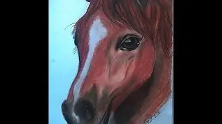 Speedpainting Pferd