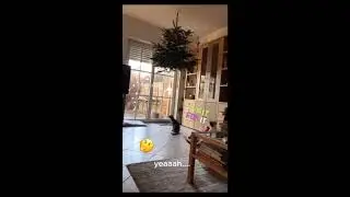 Ха! Спрятали они!