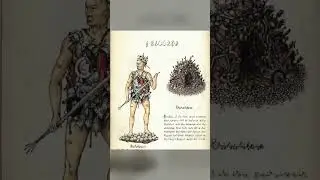 NO Conocen el Verdadero SIGNIFICADO 📓