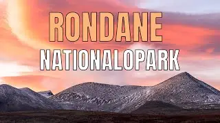 Videorapport från Rondane nationalpark 2021.