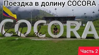 Поездка в COCORA / Долина восковых пальм Часть 2