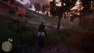 Red Dead Redemption 2 - Watch out for that branch
