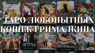 Обзор колоды 