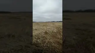 На берегу протоки промок