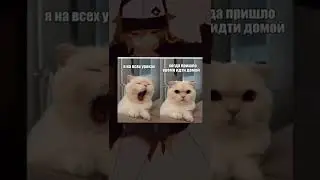 Мем