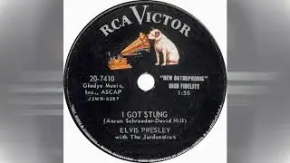 Elvis Presley - I Got Stung [extended remix]