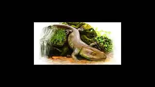 Kokartus / Salamandra Joven / PaleoPedias 🇰🇬