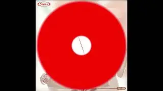 QUICK DRY BRA SOREX art. 02003 & 02004