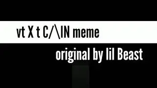 vt X t C/\IN meme (blood)
