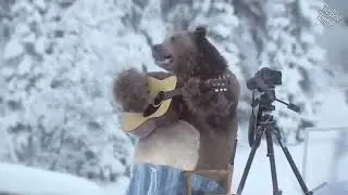 Русский Медведь