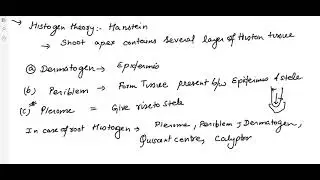 ANATOMY PART 2