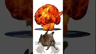 история нашей земли:  #шлепа #динозавры #земля #история #прикол