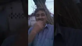 M p dhakad