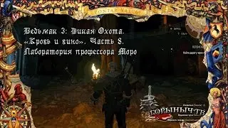 Ведьмак 3: Дикая Охота. Кровь и вино. Часть 8. Лаборатория профессора Моро.