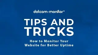 How to Monitor Your Website for Better Uptime