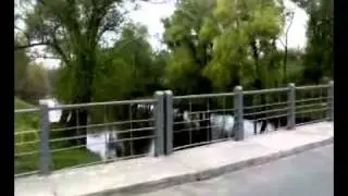 28042011162.mp4