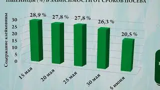 Сорта и сроки посева яровой мягкой пшеницы