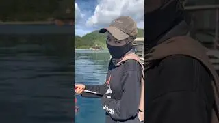 Yang bener aja gak mancing2#mancing #castinger #microfishing #udanggalah #matapancing