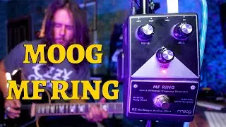 Moog Ring Modulation MF Ring