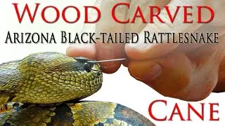 Black Tailed Rattlesnake Cane