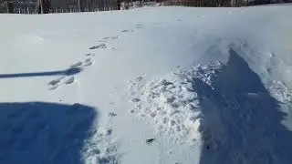 Зайчик приходит в гости