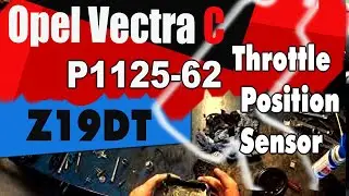Opel Vectra C  Мотор Z19DT  Итоги диагностики  Вскрываем дроссель