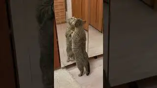 Не могу остановиться ...