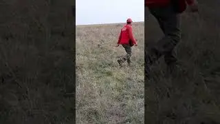 Работа Эпаньоль Бретона