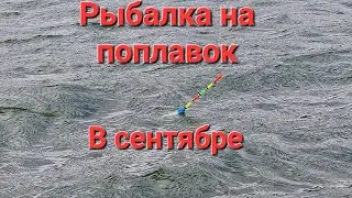 Рыбалка на поплавок в сентябре в сильный ветер.